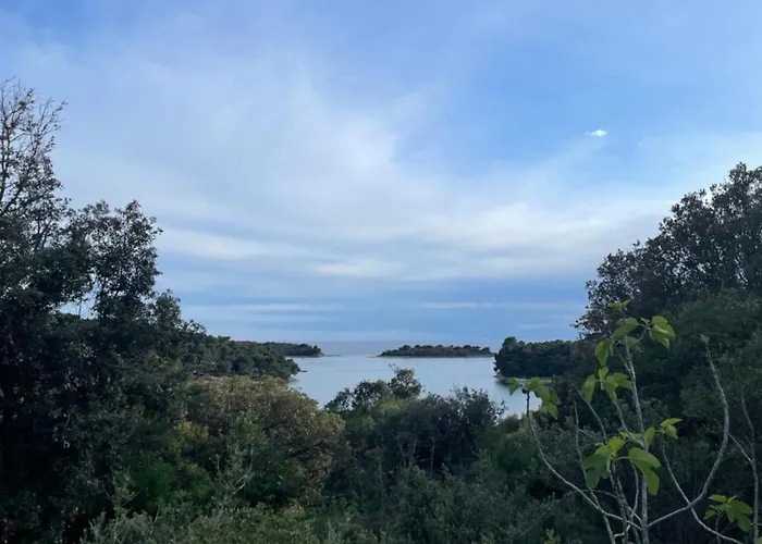 Διαμέρισμα Antic